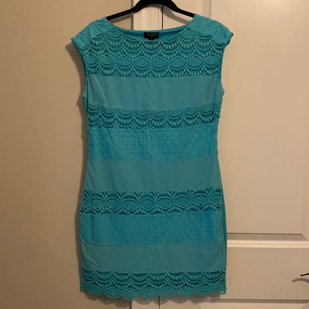 The Limited petite dress size S